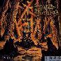 The Few Against Many -《Sot》[MP3]