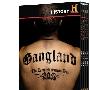 《历史频道 黑帮之地 第七季》(History Channel Gangland Season 7)更新至第1集[HDTV]