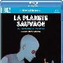 《奇幻星球》(Fantastic Planet)[BDRip]