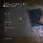 《谋杀的艺术2：追捕木偶人》(Art of Murder: Hunt for the Puppeteer)ChinaAVG与圣城家园联合汉化版[光盘镜像]