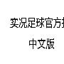 《实况足球官方指南中文版（菜鸟必看，高手温习）》(PES2008)PES2008