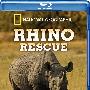 《国家地理频道-拯救犀牛》(National Geographic Rhino Rescue)[720P]