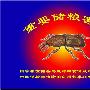 《重要储粮害虫》(佚名)插图文字版[PDF]