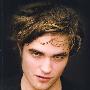 《罗伯特·帕丁森视觉传奇》(The Robert Pattinson Album)中译本扫描版[PDF]