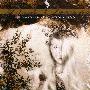 Dark Orange -《Clouds, Paperships and Fallen Angels》[MP3]