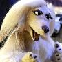 《混血儿 第一季》(Mongrels Season 1)9集全[720p.BluRay]