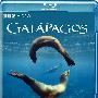 《BBC 加拉帕戈斯群岛》(BBC Galapagos)思路/国粤英三音轨(全三集)[1080P]