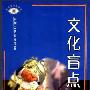 《文化盲点》(沈利华)扫描版[PDF]