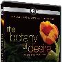 《PBS：植物的欲望》(PBS: The Botany of Desire)[DVDRip]