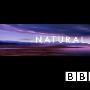 《BBC自然世界--非洲龙山》(BBC Natural World 2010 Africas Dragon Mountain )[PDTV][720p][HDTV]