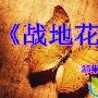 《战地花开》分集剧情介绍（1-25全集）大结局剧情内容介绍