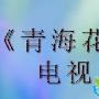 《青海花儿》分集剧情介绍（大结局）剧情内容介绍