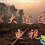 《大道通天》分集剧情介绍（1-24全集）大结局剧情内容介绍