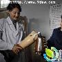 《苏菲的证词》分集剧情介绍（1-27全集）大结局剧情内容介绍