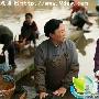 《我的孩子我的家》分集剧情介绍（16-20全集）剧情内容介绍
