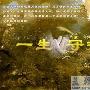 《一生守护》分集剧情介绍（大结局）剧情内容介绍