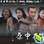 《根在中原》分集剧情介绍（1-38全集）大结局剧情内容介绍