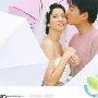 《怕雨的新娘》分集剧情介绍（1-14全集）大结局剧情内容介绍