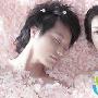 《樱花心中》分集剧情介绍（大结局）内容介绍