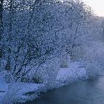 冰天雪地 - 冬天雪景 自然风光 风景图片