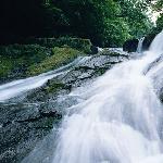 瀑布溪流 自然风光 风景图片