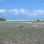 英联邦的印度洋领域 自然风光 风景图片