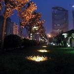 中国城市夜景（三） 自然风光 风景图片