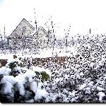 贴子主题: 春雪－－自然送给人们一幅美丽纯净的画卷 自然风光 风景图片
