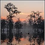 贴子主题: 原生态的绝美—-站在水中的树 自然风光 风景图片