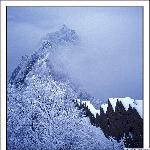 贴子主题: 银蛇狂舞!亲睹今冬最美的一场雪~~~~~ 自然风光 风景图片