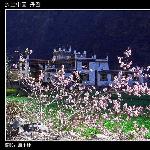 贴子主题: 中国最美的乡村古镇－丹巴~~ 自然风光 风景图片