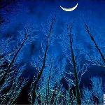 贴子主题: 撩人月光的美丽诱惑~心静如水~ 自然风光 风景图片