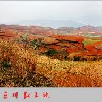 东川红土地图片 自然风光 风景图片