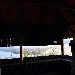 圣露西亚湖的早晨图片 自然风光 风景图片