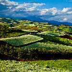 东川红土地(一）图片 自然风光 风景图片