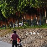 活在珠海图片 自然风光 风景图片