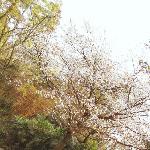 南山植物园——植物篇图片 自然风光 风景图片