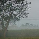 秋雾图片 自然风光 风景图片