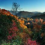童话世界 · 五彩光雾山图片 自然风光 风景图片