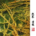 九寨·黄龙 印象Ⅴ图片 自然风光 风景图片