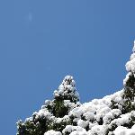 今冬初雪图片 自然风光 风景图片