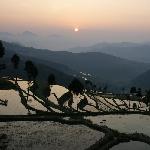 茗岙梯田图片 自然风光 风景图片