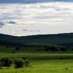 美丽的呼伦贝尔大草原图片 自然风光 风景图片