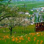 瑞士：铁力士雪山和少女峰图片 自然风光 风景图片