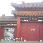 灼灼其华，桃之夭夭图片 自然风光 风景图片