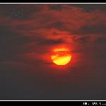 『落日&芦苇』图片 自然风光 风景图片
