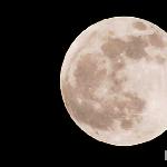 月全食那天，你用单反相机拍摄到红月亮了么？图片 自然风光 风景图片