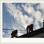 青岛城市(组照)图片 自然风光 风景图片