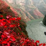 三峡红叶图片 自然风光 风景图片