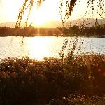 瑰丽？妖娆亦或宁静？带你领略初秋迟暮下的皇家园林图片 自然风光 风景图片